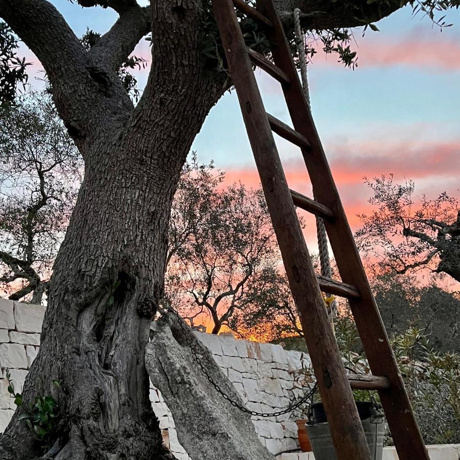 Bed and Breakfast Quei Trulli Divini Martina Franca Exterior foto
